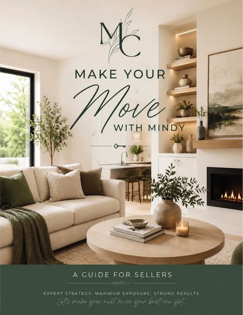 The Seller's Guide cover